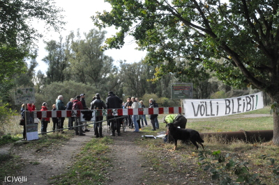 Treffen Waldspaziergang