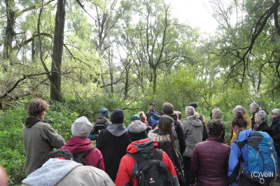 Vortrag Vollhöfner Wald