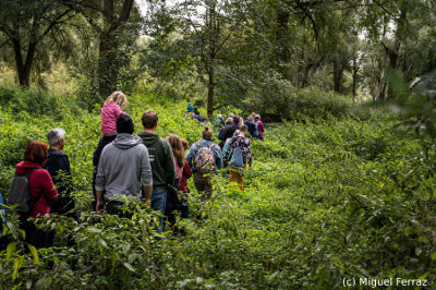 Die Humanide Anaconda started in den Vollhöfner Wald.