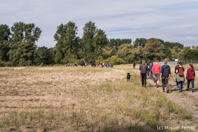 Wald Anaconda im Vollhöfner Wald