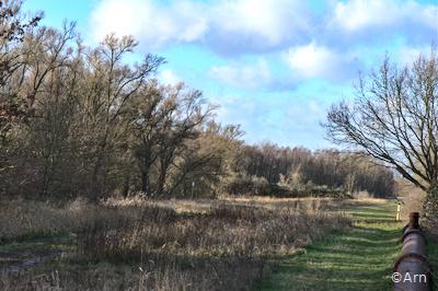 Vorplatz Vollhöfner Wald