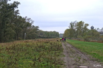 Waldspaziergang.