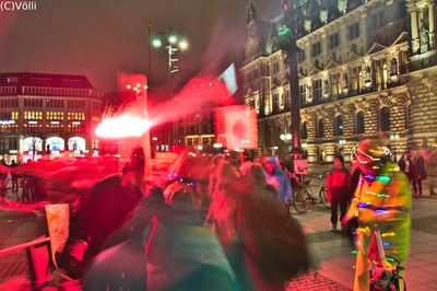 Rette Hamburgs Wälder Demo