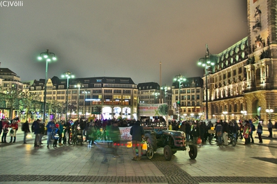 Rette Hamburgs Wälder Demo