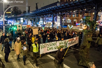 Rette Hamburgs Wälder Demo