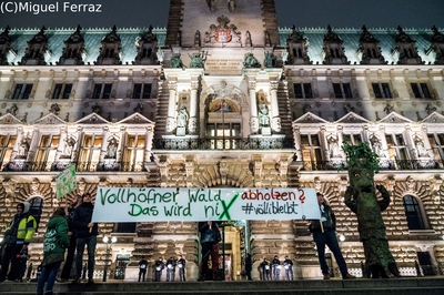 Rette Hamburgs Wälder Demo