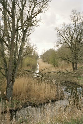 Vollhöfner Wald